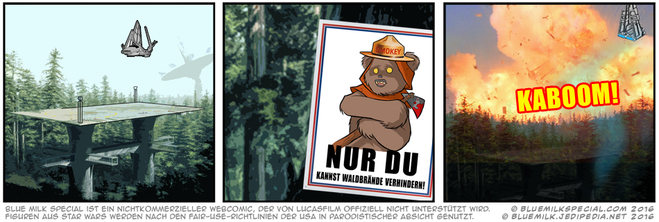 Nur DU kannst Waldbrände verhindern!